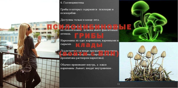 прущие крисы Вязники